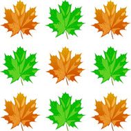 maple leaves N12