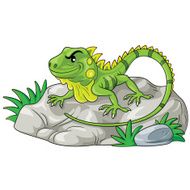Iguana Cartoon