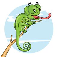 Chameleon cartoon N4
