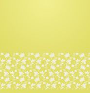 Floral ornament border N3