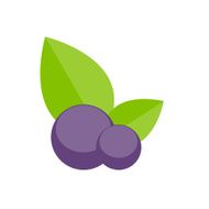 Blueberry Flat Icon Vector Illustration