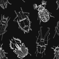 Nice beetles vector pattern N3