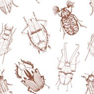 Nice beetles vector pattern N4