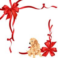 dog and ribbon illustration N19