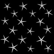 Geometric simple monochrome minimalistic vector holiday pattern starfish N2