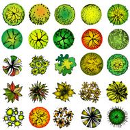 Set of treetop symbols for architectural or landscape design