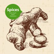 Kitchen herbs and spices Vintage background with hand drawn ske N3