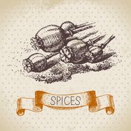 Kitchen herbs and spices Vintage background with hand drawn ske N7