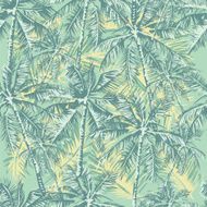 tropical pattern N21