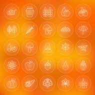 Thin Outline Thanksgiving Dinner Circle Line Icons Set