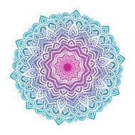 Vector mandala ornament N54