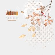 The branch with leaves and birds - autumn background N2