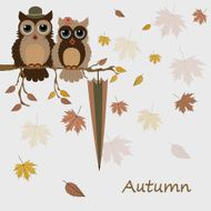Pair of owls on branch in autumn