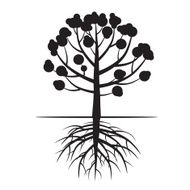 Tree and Roots Vector Illustration N6
