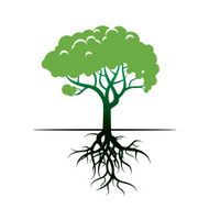 Green Tree and Roots Vector Illustration N3