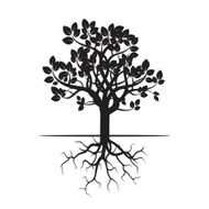 Black Tree and Roots Vector Illustration N3