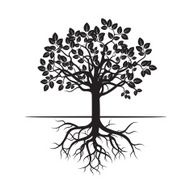 Black Tree and Roots Vector Illustration N4