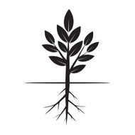 Tree and Roots Vector Illustration N7