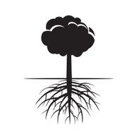Black Tree and Roots N6