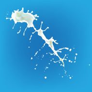 Drops splashes vector