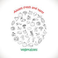 Isolated vegetables in a circle Vector illustrations