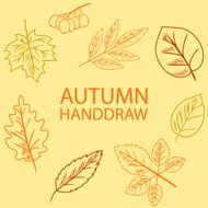 Hand Draw Autumn Leaf