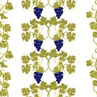 Seamless texture with vines and bunches of grapes N6