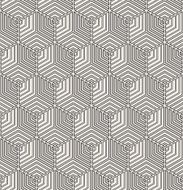 abstract monochrome hexagonal grid pattern