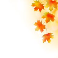 Fall leaves background N9
