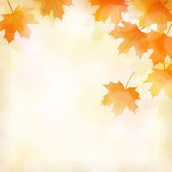 Fall leaves background N10
