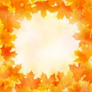 Fall leaves background N11
