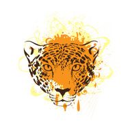 Leopard jaguar