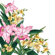 Pink and yellow flowers on a white background