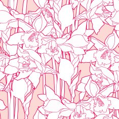 Seamless pattern with narcissus flowers N4