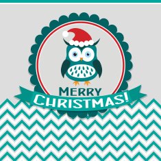 Template Christmas greeting card with a owl vector N2