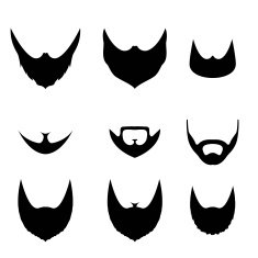 Set of beard on white background N2