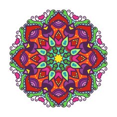 Vector mandala ornament N44
