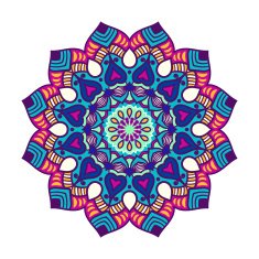 Vector mandala ornament N46