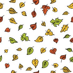 autumn leaf background N35