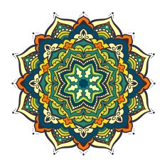 Vector mandala ornament N49