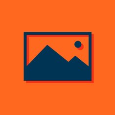 icon of image photo N4