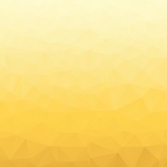 Polygonal Abstract Background N6