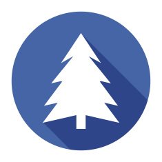christmas tree N183