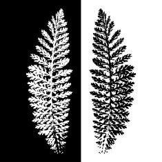 Plant abstract background Vector illustration N2