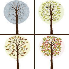 Trees in seasons N2