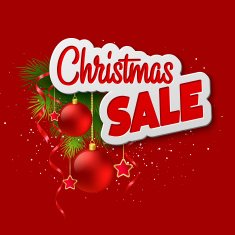 Christmas lettering card with holly and fir-tree branch Vector illustration N2