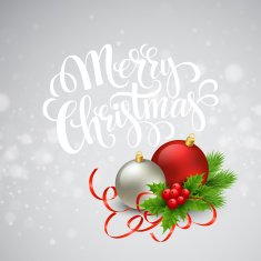Christmas greeting card Vector illustration N8