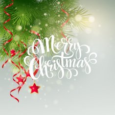 Christmas greeting card Vector illustration N9