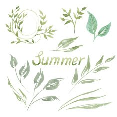 Vector Silhouette of Leaves Watercolor