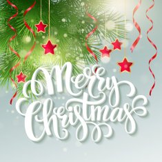 Christmas greeting card Vector illustration N12